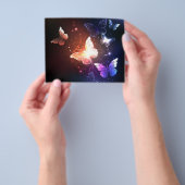 Glühende Nachtschmetterlinge Flyer (Gruppe)