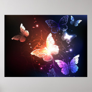 Glühende Nachtschmetterlinge Poster