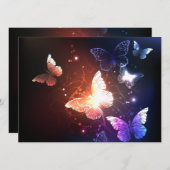 Glühende Nachtschmetterlinge Programm (Vorne/Hinten)