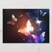 Glühende Nachtschmetterlinge Programm (Vorderseite)