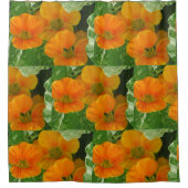 Glühende Nasturtien Duschvorhang (Vorderseite)