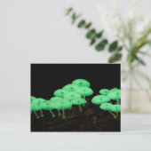 Glühende Pilze Postkarte (Stehend Vorderseite)