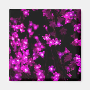Glühende rosa Blumen-Lichter Magnet