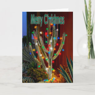 Glühende Weihnachtskaktus mit frohen Weihnachten