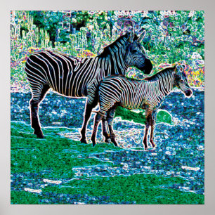 glühende Zebras 01 Poster