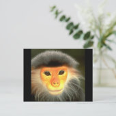 Glühender Affe Postkarte (Stehend Vorderseite)