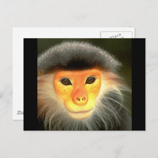 Glühender Affe Postkarte (Vorne/Hinten)