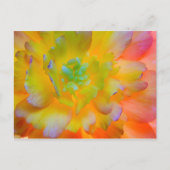 Glühender Begonia Blossom | Seabeck, WA Postkarte (Vorderseite)