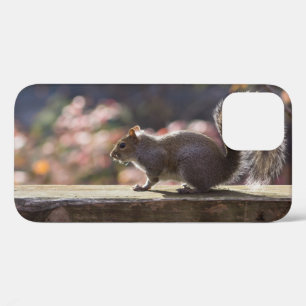 Glühender Eichhörnchen iPhone Case
