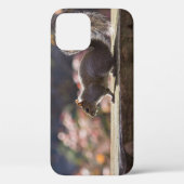 Glühender Eichhörnchen iPhone Case (Rückseite)
