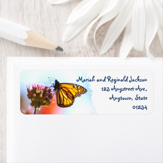 Glühender Monarchschmetterling auf Lila Blume (Insitu)