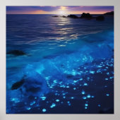Glühender Strand mit biolumineszenter Wasserqualit Poster (Vorne)