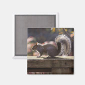 Glühendes Eichhörnchen Magnet (Vorderseite/Rückseite)