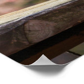 Glühendes Eichhörnchen Poster (Ecke)