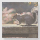 Glühendes Eichhörnchen Steinuntersetzer (Vorderseite)