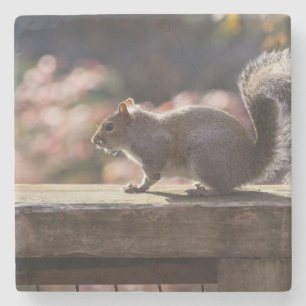 Glühendes Eichhörnchen Steinuntersetzer