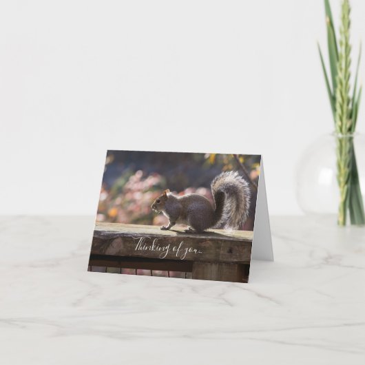 Glühendes Eichhörnchendenken auf Ihrer Karte (Vorderseite)