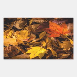 Glühendes Herbst-Blätter Rechteckiger Aufkleber