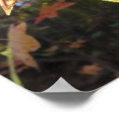 Glühendes Süße-Leaf im Wald Poster (Ecke)