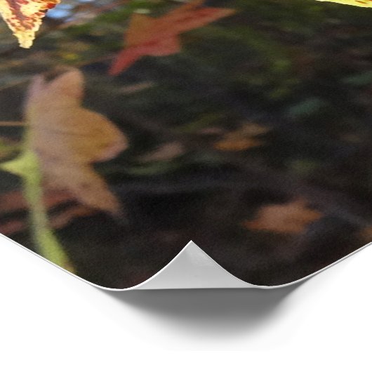 Glühendes Süße-Leaf im Wald Poster (Ecke)