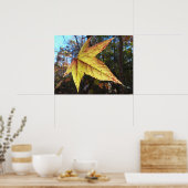 Glühendes Süße-Leaf im Wald Poster (Küche)