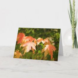 Glühkarte für den Herbst Feiertagskarte