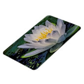 Glühweiße Lotus-Blume Magnet (Linke Seite)