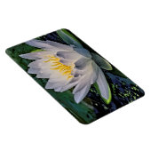 Glühweiße Lotus-Blume Magnet (Rechte Seite)