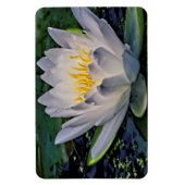 Glühweiße Lotus-Blume Magnet (Vertikal)