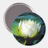 Glühweißer Lotus Magnet (Vorderseite/Rückseite)
