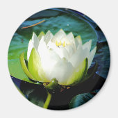 Glühweißer Lotus Magnet (Vorne)