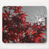 Glut der Herbstes Mousepad (Vorne)