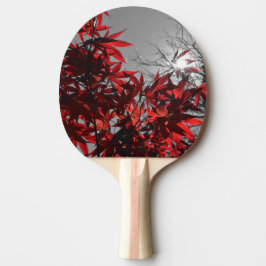 Glut der Herbstes Tischtennis Schläger