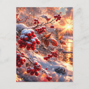 Glut der roten Winterbeeren im Schnee Postkarte