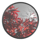 Glut des Herbstes Eishockey Puck (Vorderseite)
