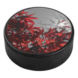 Glut des Herbstes Eishockey Puck