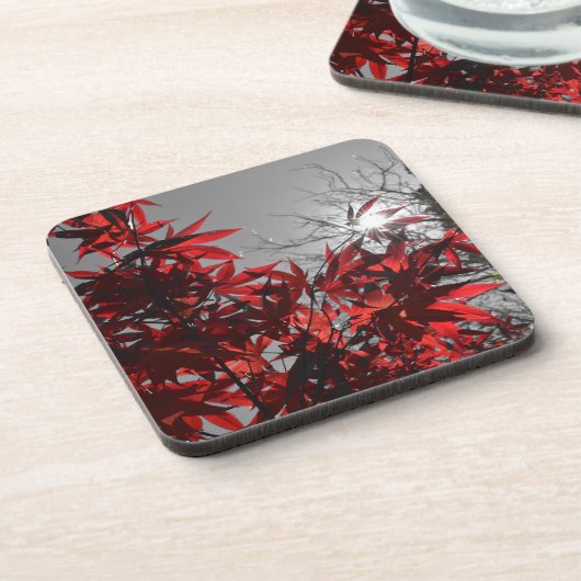 Glut des Herbstes Getränkeuntersetzer (Linke Seite)