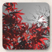 Glut des Herbstes Getränkeuntersetzer (Vorderseite)