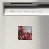 Glut des Herbstes Magnet (In Situ (Geschirrspüler))