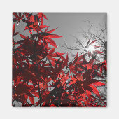 Glut des Herbstes Magnet (Vorne)
