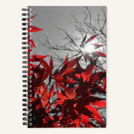 Glut des Herbstes Notizblock