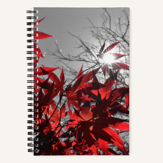Glut des Herbstes Notizblock (Vorderseite)