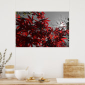 Glut des Herbstes Poster (Küche)