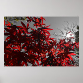 Glut des Herbstes Poster