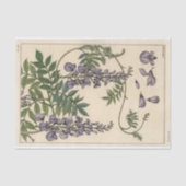 Glycin, Eugene Grasset Botany Serie Seidenpapier (Vorderseite)