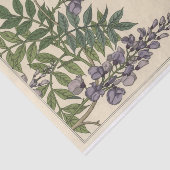 Glycin, Eugene Grasset Botany Serie Seidenpapier (Ausschnitt)