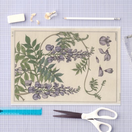 Glycin, Eugene Grasset Botany Serie Seidenpapier (Handwerk)
