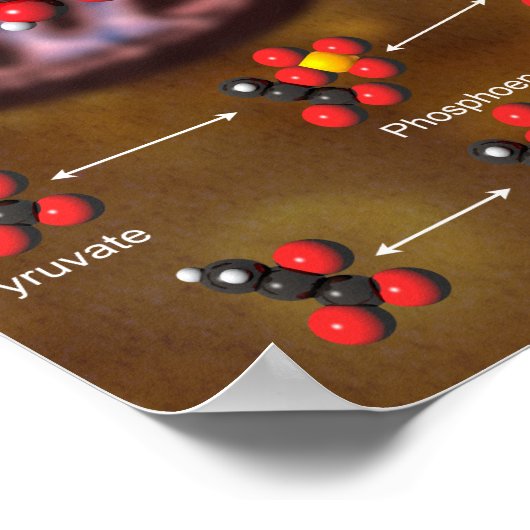 Glycolysis poster (Ecke)