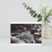 Glyphosat-Free Tennessee Weihnachtskarte Postkarte (Stehend Vorderseite)