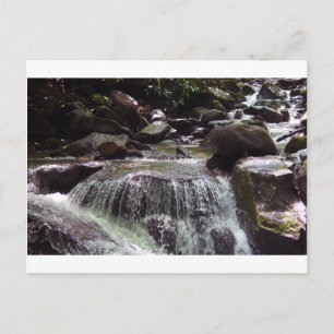 Glyphosat-Free Tennessee Weihnachtskarte Postkarte